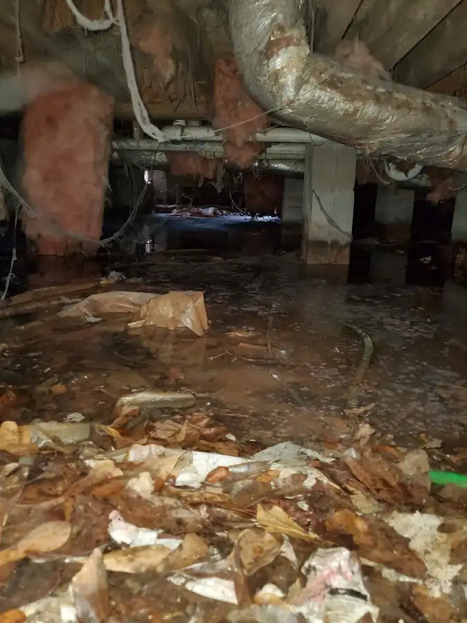 Crawl space flood assessment for Leak Detection & Repair in North Highlands